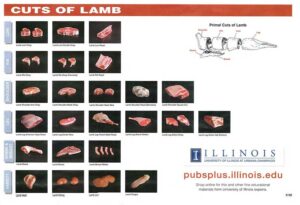 cuts-of-lamb