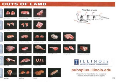 cuts-of-lamb
